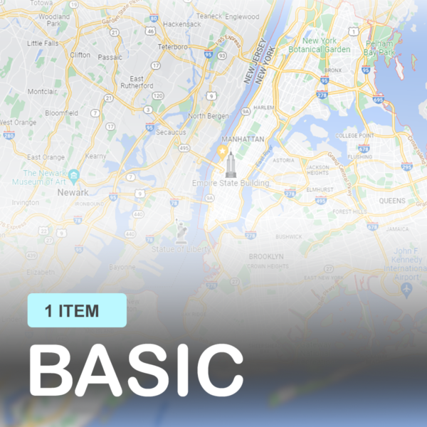 Basic Subscription